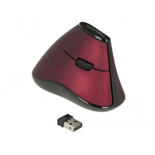 Delock Souris ergonomique 12528 USB sans fil
