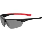 ACE Lunettes de protection Evo EN166 Teinté Smoke