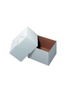 Antalis Versandkarton 2-teilig white, 320x250x250, 20 Stück