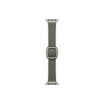 Apple Modern Buckle, 42mm Sage Gray  Small