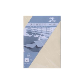 Artoz Couvert 1001 C5, 100 gm2, chamois, 5 Blatt