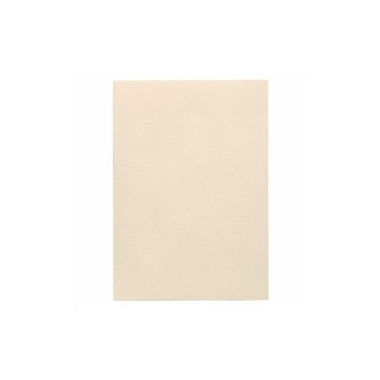 Artoz 1001 A4 220g ivory 5 Kartons, copy, laser, inkjet write, watermark, coton Artoz 1001 A4 220g ivory 5 Kartons, copy, laser, inkjet write, watermark, coton