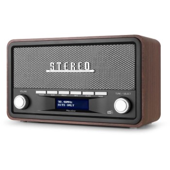 Audizio Radio DAB+ Foggia Gris Audizio Radio DAB+ Foggia Gris