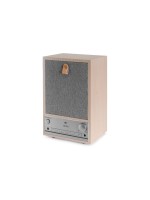 Audizio CanzoLW, Internet Radio,DAB+,BT,RJ45,LCD,WiFi, WD