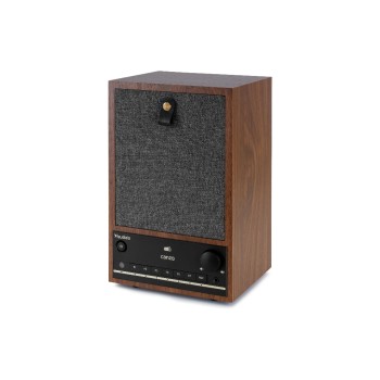 Audizio Radio Internet Canzo Brun foncé