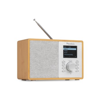 Audizio Cosa-LWD, Internetradio, DAB+, Bluetooth, DSP, LW