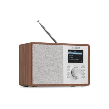 Audizio Cosa-WD, Internetradio, DAB+, Bluetooth, DSP, WD