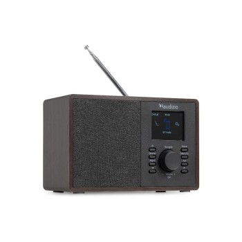 Audizio Cosa-DWD, Internetradio, DAB+, Bluetooth, DSP, DW