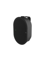 AXIS Netzwerk Lautsprecher C1110-E black , Cabinet Speaker, Outdoor