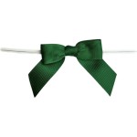 BackshopSchweiz Fermeture avec boucle Vert, 10 pièces