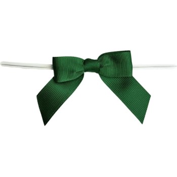 BackshopSchweiz Fermeture avec boucle Vert, 10 pièces