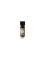 balthasar Huile parfumée à l'eucalyptus Eucalyptus 10 ml 1 Pièce/s