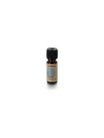 balthasar Huile parfumée 10 ml Coriandre/Mandarine/Orange/Menthe/Citron 10 ml 1 Pièce/s