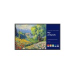 BenQ Ecran Public SL5504 55
