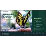BenQ Ecran Public ST6504 65
