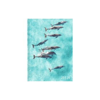 Biella Schüleragenda 2025/26 Animal, 12x16.5cm,1 Tag pro Seite, gebund. wattiert Biella Schüleragenda 2025/26 Animal, 12x16.5cm,1 Tag pro Seite, gebund. wattiert