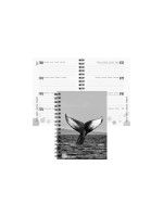 Biella Emploi du temps scolaire mydiary Wire-O 2026/27 Baleine, 12 x 16.5 cm