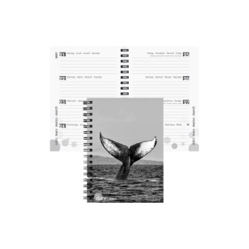 Biella Emploi du temps scolaire mydiary Wire-O 2026/27 Baleine, 12 x 16.5 cm
