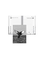 Biella Emploi du temps scolaire mydiary 2026/27 Baleine, 12 x 16.5 cm