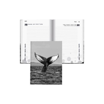 Biella Emploi du temps scolaire mydiary 2026/27 Baleine, 12 x 16.5 cm