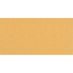 EXPERT C470 Schleifpapier., 115 x 230mm. G 100. 10-tlg.