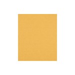 Bosch Professional Papier de verre EXPERT C470, 230 x 280 mm, G 100