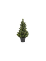 Botanic-Haus Sapin de Noël Sapin dans un pot, 51 cm