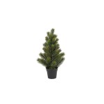 Botanic-Haus Sapin de Noël Sapin dans un pot, 41 cm