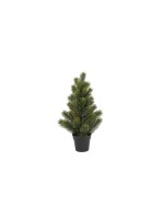 Botanic-Haus Sapin de Noël Sapin dans un pot, 41 cm