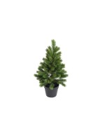 Botanic-Haus Sapin de Noël 60 cm, en pot