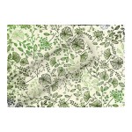 Braun + Company Papier cadeau By Nature Gras Botanic Mix 1.5 m x 70 cm