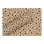 Braun + Company Papier cadeau By Nature Kraft Polka Dots 2 m x 70 cm
