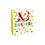 Braun + Company Sac cadeau Birthday Smileys 18 x 21 x 8 cm, Multicolore