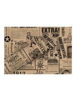 B+C Geschenkpapier 2mx70cm, By Nature braun News schw.