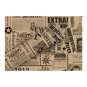 B+C Geschenkpapier 2mx70cm, By Nature braun News schw.