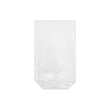 B+C Klarsichtbeutel 11.5 x 19 cm, unbedruckt, 100 Stk