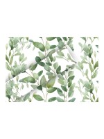 B+C Geschenkpapier 2mx70cm, 70 gm2, Soft Greeen