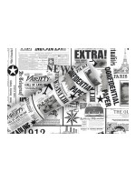 B+C Geschenkpapier 80g/m2, 70cm x 2 m, News