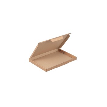Brieger Carton d’expédition 22 x 15.5 x 1.6 cm, 1 pièce Brieger Carton d’expédition 22 x 15.5 x 1.6 cm, 1 pièce