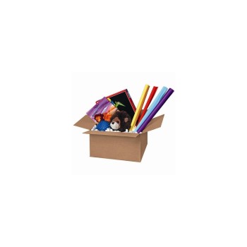 Brieger Carton d’expédition 22 x 15.5 x 12 cm, 1 pièce Brieger Carton d’expédition 22 x 15.5 x 12 cm, 1 pièce