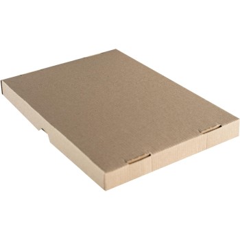 Brieger Boîte en carton 227 x 155 x 55 mm, 1 Pièce/s Brieger Boîte en carton 227 x 155 x 55 mm, 1 Pièce/s