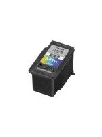 Canon Encre CL-541XL / 5226B005