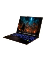 Captiva Ordinateur portable Highend Gaming I98-135CH