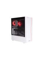 Captiva PC Entry Gaming R10-284