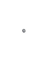 Celestron 93623 Filtre à bande étroite OIII 1,25 pouce, plastique gris