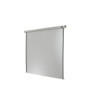 Celexon, Rollo Professional, Leinwand, 1:1, manuell, 160x160cm