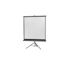 Celexon, Mobil Professional, Leinwand, 1:1, manuell, 158x158cm
