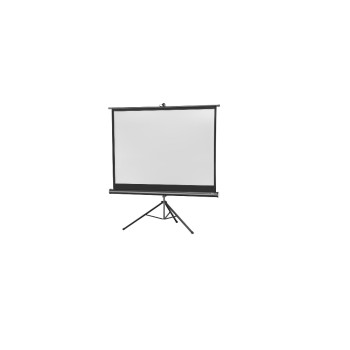 Celexon, Mobil Professional, Leinwand, 4:3, manuell, 133x100cm