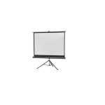 Celexon, Mobil Professional, Leinwand, 4: 3, auf Stativ, 211x160cm