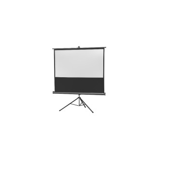 Celexon, Mobil Professional, Leinwand, 16:3, manuell, 133x75cm